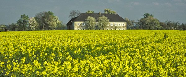 großes Bild